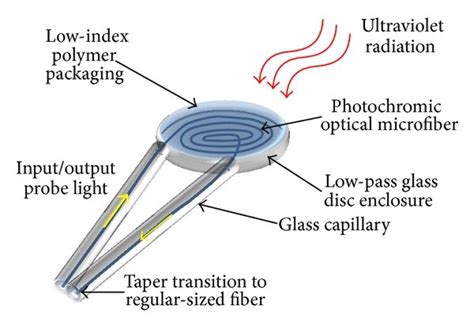 Schematic Of The Ultraviolet Light Sensor Download Scientific Diagram