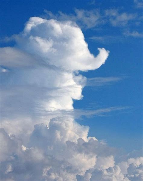 Elephant Cloud Clouds Angel Clouds Cloud Shapes