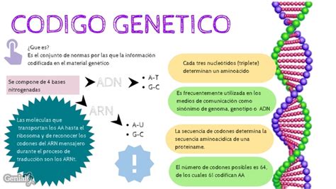 Codigo Genetico