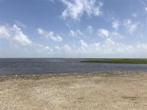 Maybe you would like to learn more about one of these? Brazoria National Wildlife Refuge - Brazosport