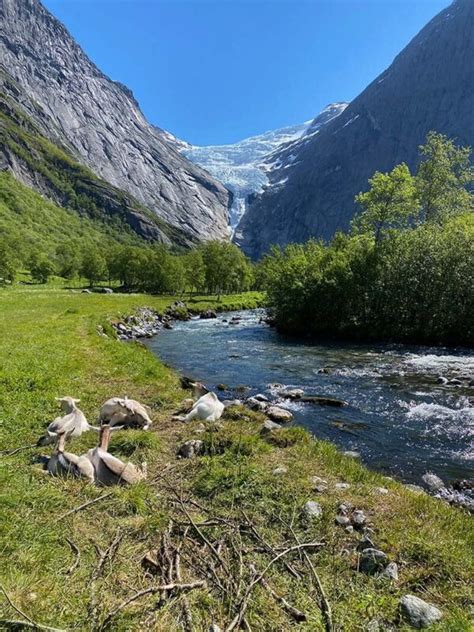 Exploring The Briskdal Glacier On A Shore Excursion