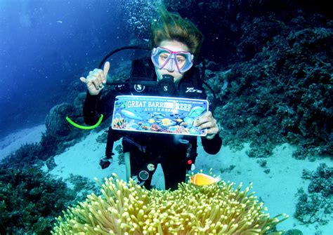 Explore The Great Barrier Reef From Port Douglas With Divers Den Rooftop Antics