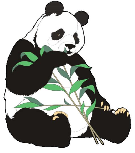 Free Panda Eating Cliparts, Download Free Panda Eating Cliparts png