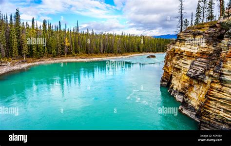 The Turquoise Water Of The Athabasca River Flowing From The Athabasca