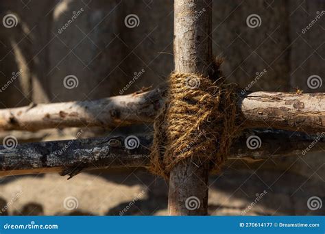 Bamboo Fence Was Built As A Rope Tied To A Bamboo Fence Stock Image