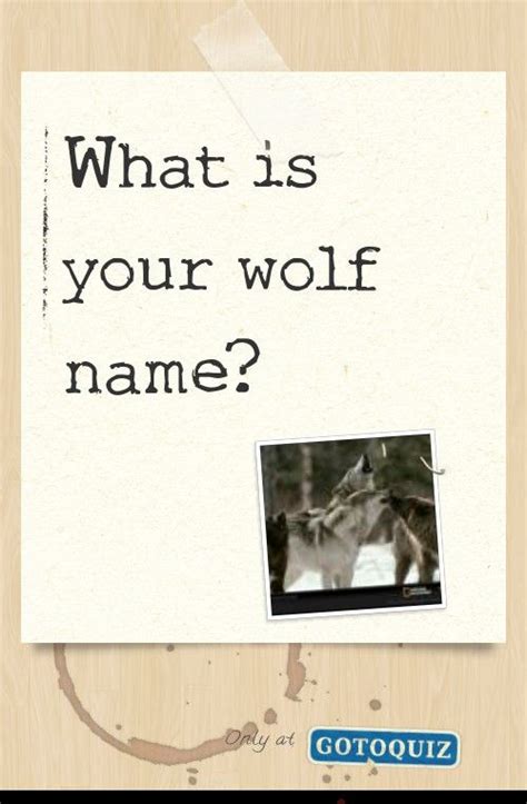 What Is Your Wolf Name My Result Your Name Is Silver Wolf Pack
