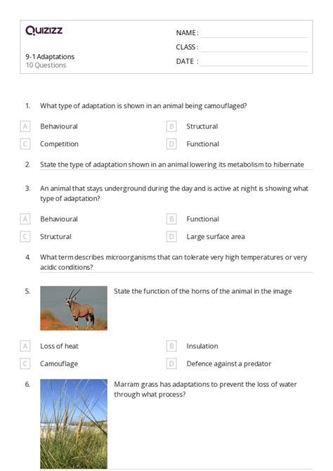 50 Animal Adaptations Worksheets For 9th Year On Quizizz Free