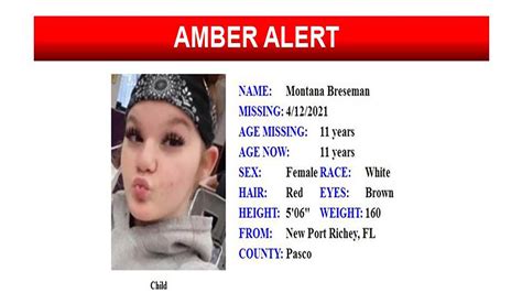 Amber Alert Theres One Serious Problem With Amber Alerts As They Work Now I Wanted A Way To