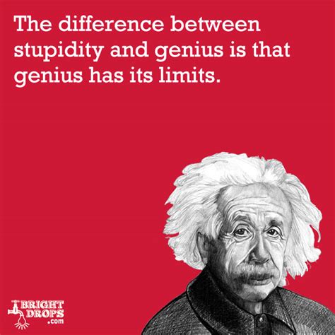 And i'm not sure about the universe. this is the most beautiful or maybe the most famous albert einstein quote. Albert Einstein Quotes Stupidity. QuotesGram