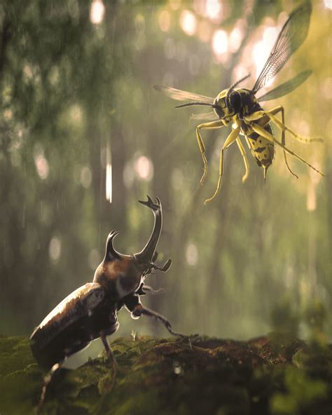 Artstation Insect War Project