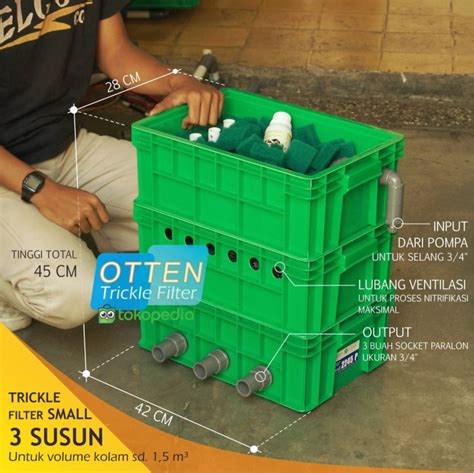 Namun demikian, kolam tempatnya tinggal harus memiliki salinitas tertentu. Jual Trickle Filter Kolam ikan KOI - 3 Susun Small Hijau ...
