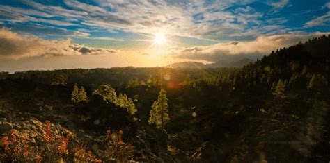 Cinemagraph gif nature cinemagraph smoke sunset forest sunrise fog dawn mist living stills. Nature GIFs - Find & Share on GIPHY