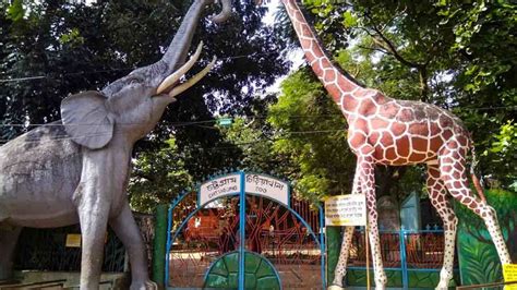 Chattogram Zoo A Most Attractive Place In Chattogram