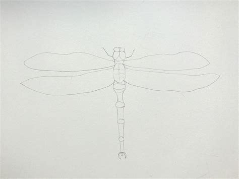 Ifttt2w1i8mv Watercolor Dragonfly Dragonfly Painting