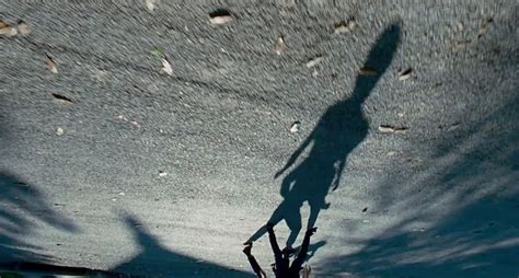 The Tree Of Life Terrence Malick 2011 Director Of Photography