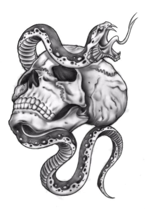 A Skull With A Snake On Its Head
