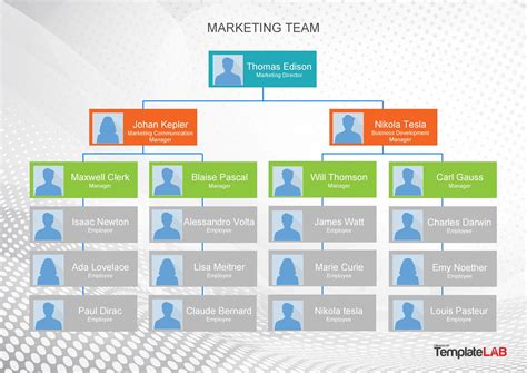 Org Chart Template Word