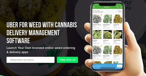 With only a few clicks, you can order weed from amsterdam to the uk. Cannabis Suite | JungleWorks
