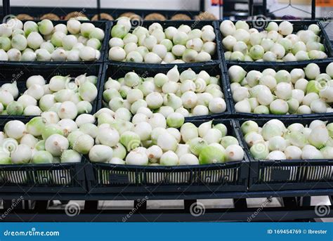 Fresh Organic White Onions At The Supermarket Stock Image Image Of