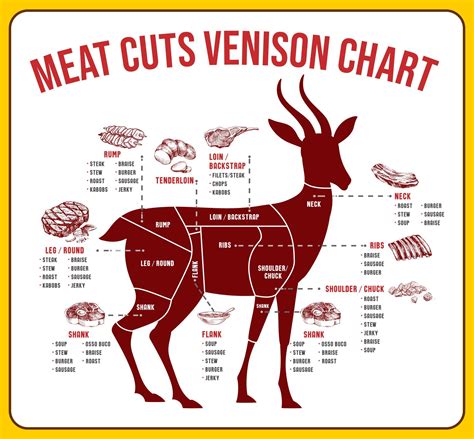Venison Butcher Chart