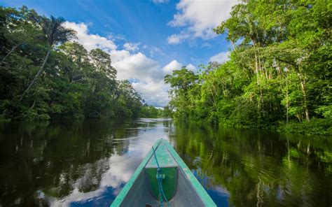 Découverte De La Région Amazonie Informations Tourtistiques Terra Peru