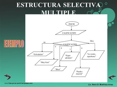 Estructura Selectiva Multiple