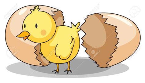 Chicken Hatching Clipart Free Images At Vector Clip Art