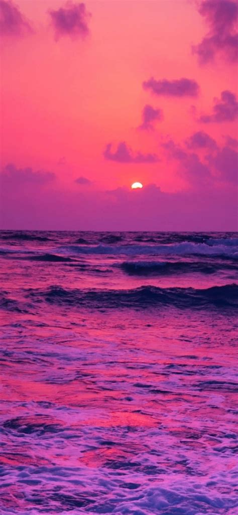 Download Pink Beach Sunset Wallpaper
