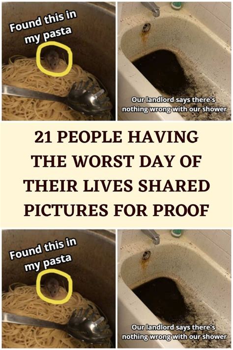 21 People Having The Worst Day Of Their Lives Shared Pictures For Proof
