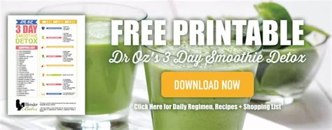 Dr Oz Detox Smoothie Day Detox By Blender Babes