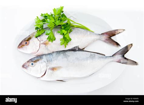 Couple Of Amberjack Seriola Dumerili Fish And Green Parsley On Plate