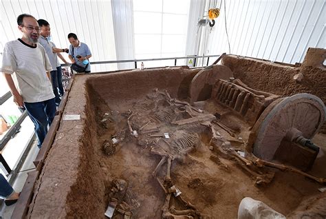 Mysterious Ancient Bronze Chariot Found Buried With Horse Skeletons