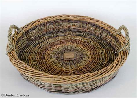 Rexville Grange Art Show Willow Basketmakerwillow