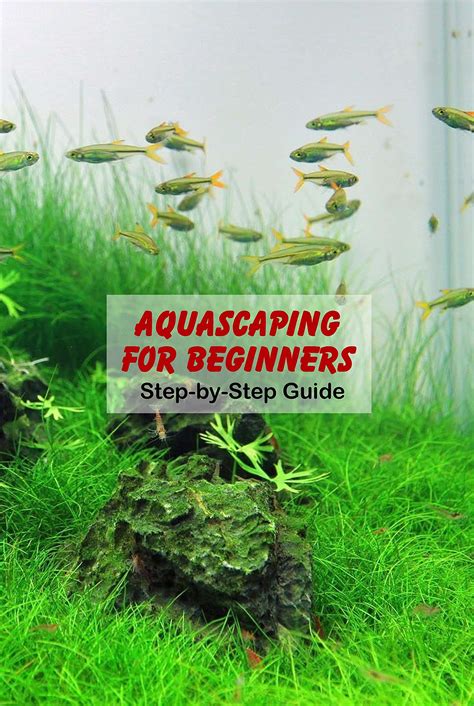 Aquascaping For Beginners Step By Step Guide The Ultimate Beginners