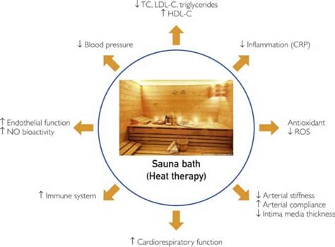 3 beneficios de la sauna【guía según la evidencia】