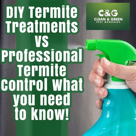 Diy Termite Treatment Vs Professional Termite Control What You Need To