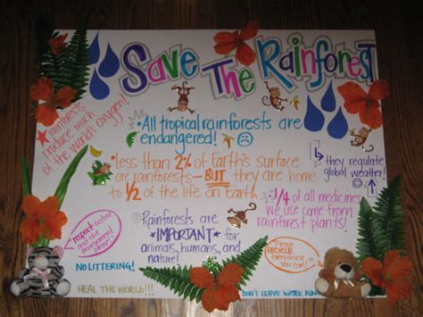 Save The Rainforest Project Poster Rainforest Project Biomes Project