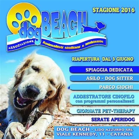 It is the second largest city in sicily with the metropolitan area reaching one million inhabitants, a major transport hub. Dog Beach - Lido Azzurro | Doge, Catania, Animali