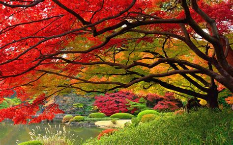 Japanese Nature Wallpapers Top Free Japanese Nature Backgrounds