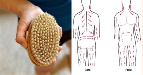 How To Dry Brush Your Skin Benefits Advancing Health Naturally