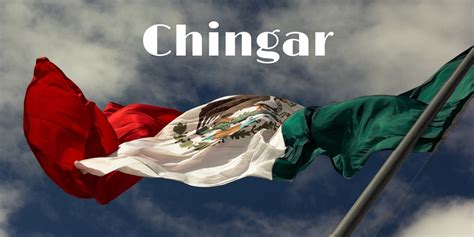 all the mexican slang terms you need to know