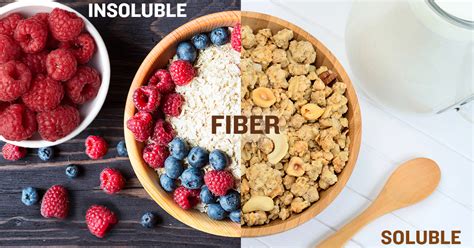 The Two Types Of Dietary Fiber Why You Should Eat Both