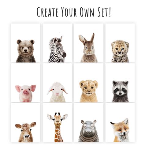 Printable Baby Animal Prints For Nursery Wall Art Decor Safari Etsy Uk
