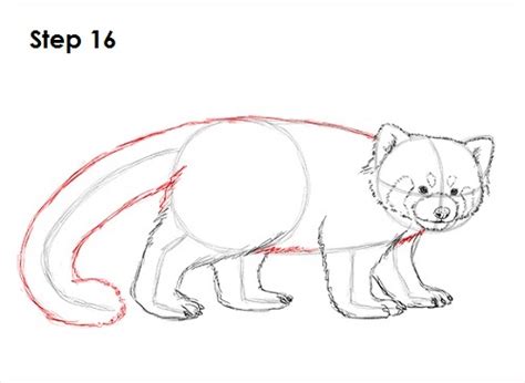 Wolf Art Drawing Panda Drawing Line Art Drawings Drawing Sketches