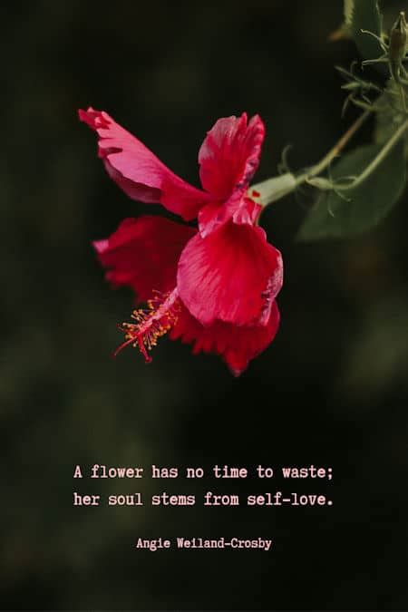 Hope for the flowers quotes. Flower Quotes and Spring Quotes with a Soulful Shimmer ...