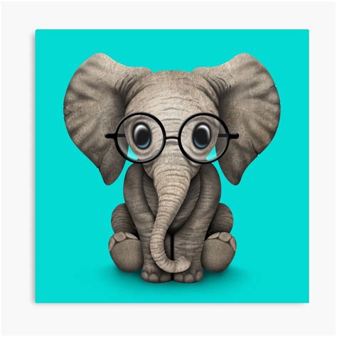 Toddler cute boy on walk. "Cute Baby Elephant Calf with Reading Glasses on Blue" Canvas Print by JeffBartels | Redbubble