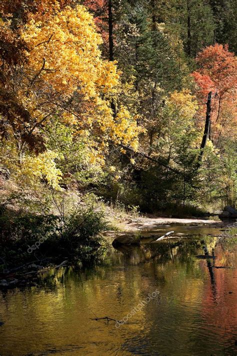 Forested Border Of Oak Creek Canyon Shows Its Fall Colors Twice ⬇ Stock
