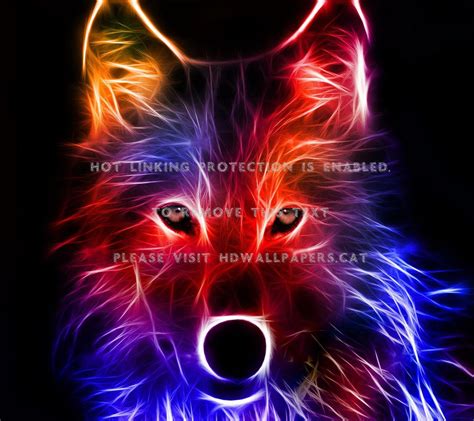 Purple Spirit Wolf Wallpapers Top Free Purple Spirit Wolf Backgrounds