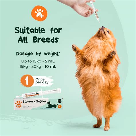 Stomach Settler | PetExx