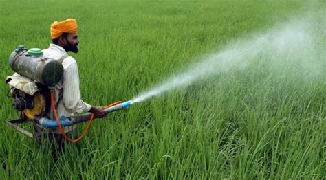 Pesticides In Agriculture
